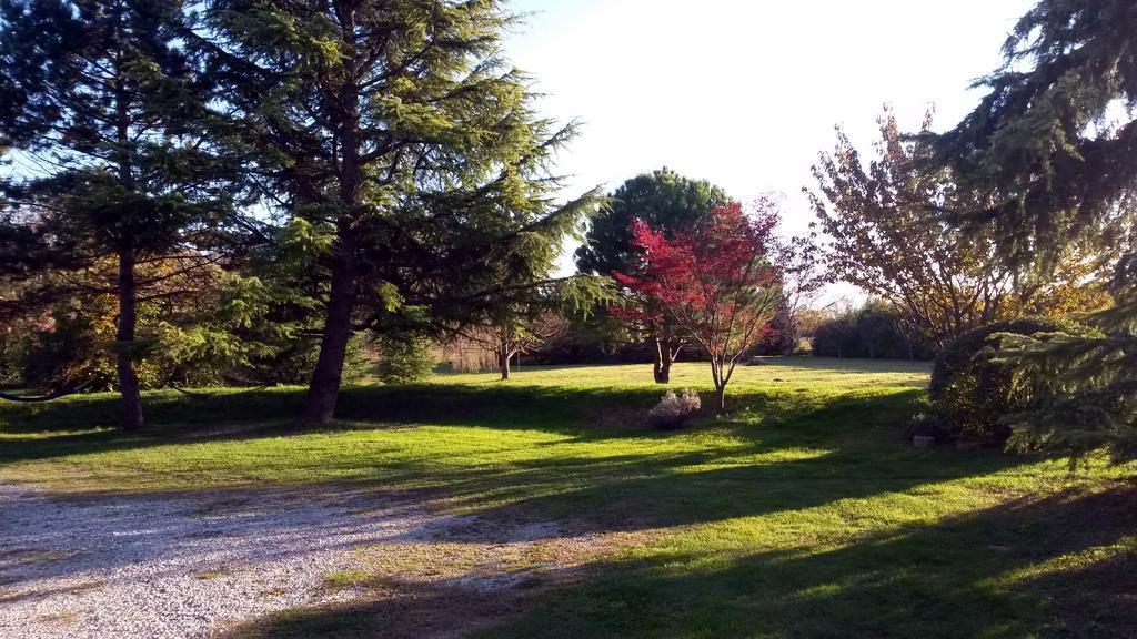 Al Campo Di Sotto Bed & Breakfast Buia ภายนอก รูปภาพ