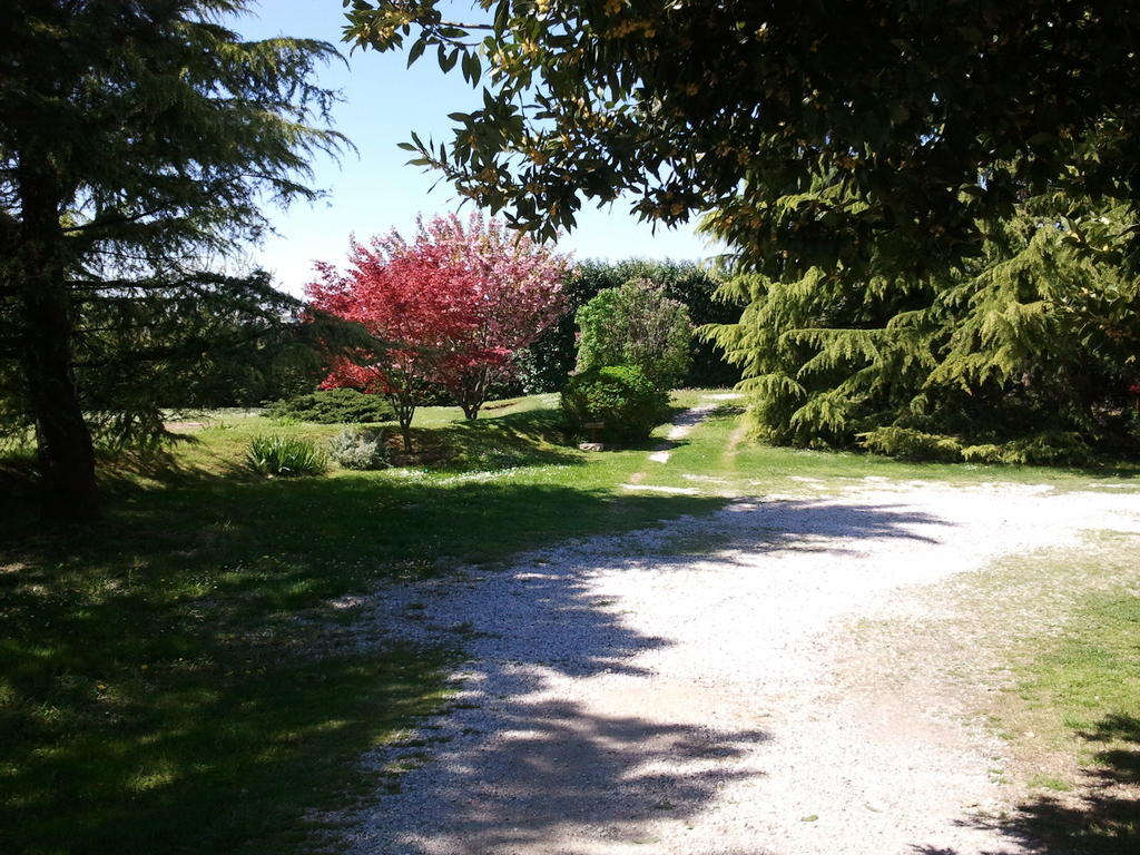 Al Campo Di Sotto Bed & Breakfast Buia ภายนอก รูปภาพ